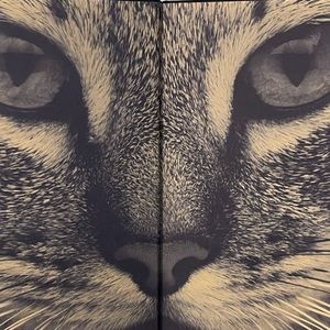 The Ultimate Cat Book
